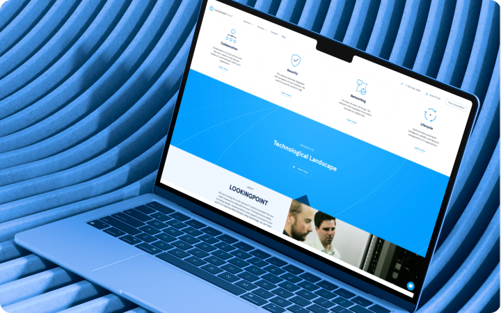 Looking Point Website Preview