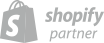 Shopify Partner