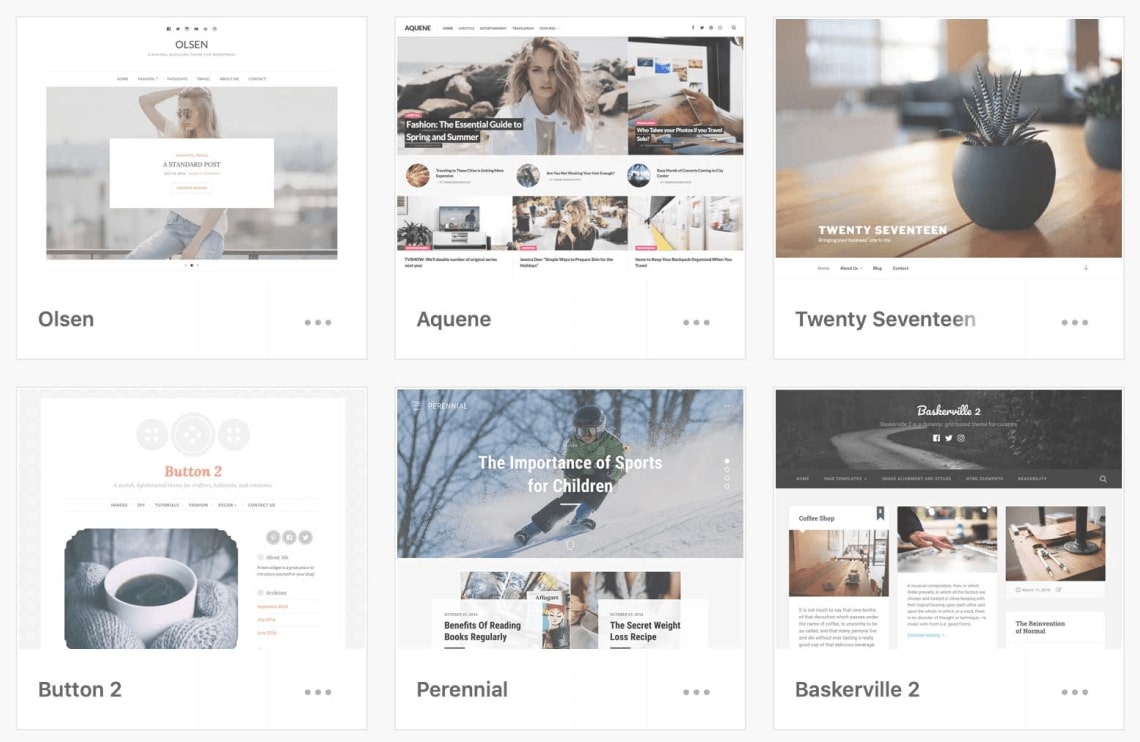 What are WordPress Themes?
